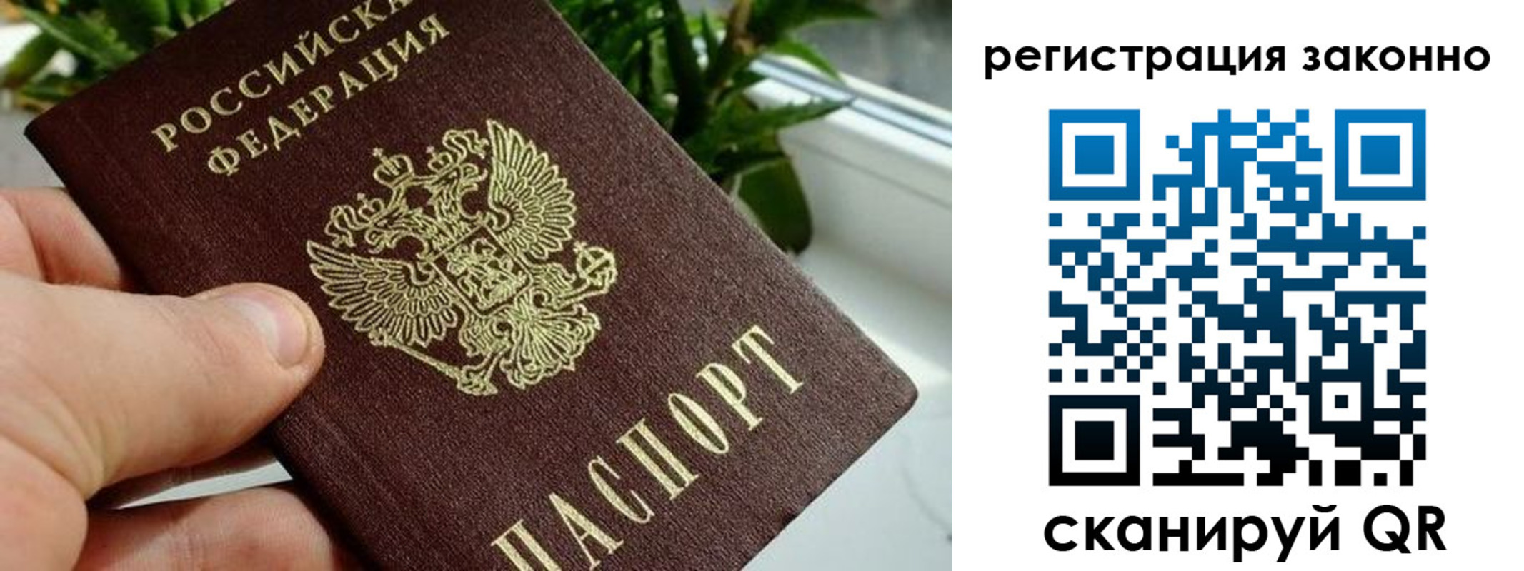 прописка гарантия в Ленинске